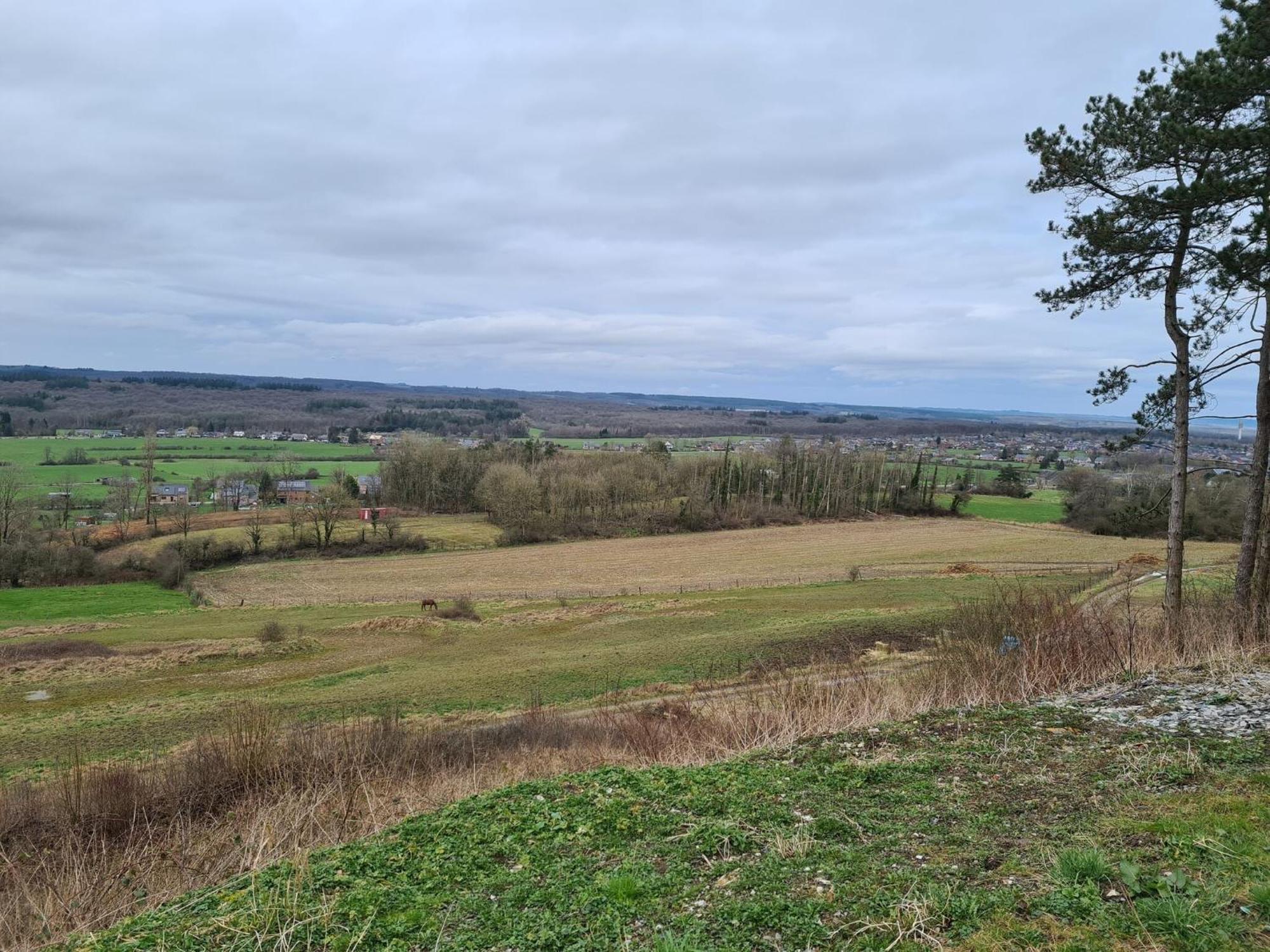 Spacious Holiday Home In Humain With Garden Marche-en-Famenne Eksteriør bilde